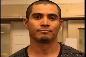 Carlos Ramos Arrest Mugshot